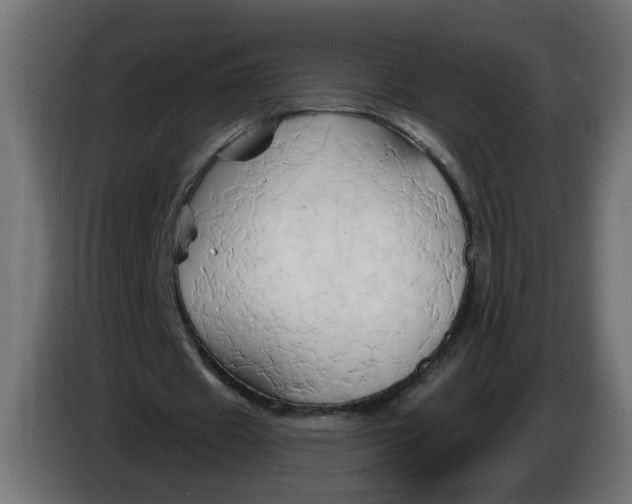 X0000086020433200704131853