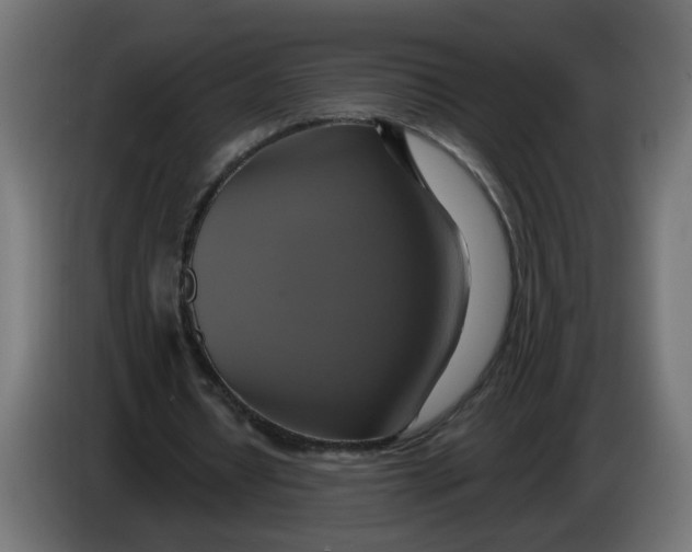 X0000086020434200704131853
