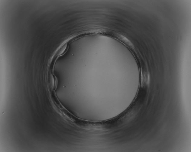 X0000086020435200704131853