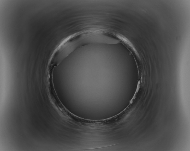 X0000086020436200704131853