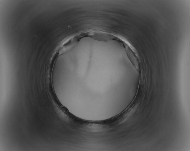 X0000086020437200704131853