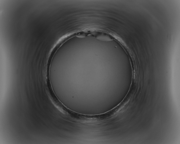 X0000086020438200704131853