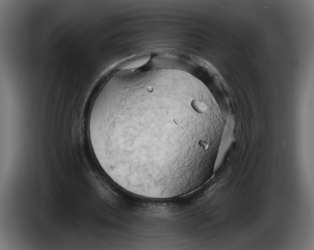 X0000086020439200704131853
