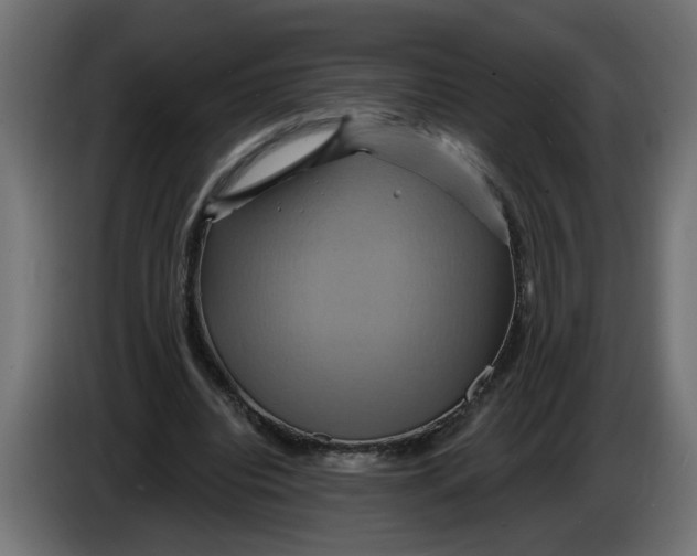 X0000086020440200704131853