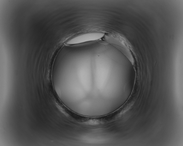 X0000086020441200704131853