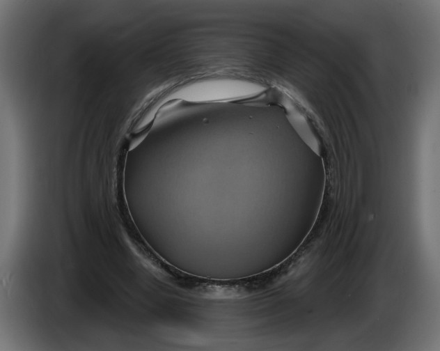 X0000086020442200704131853
