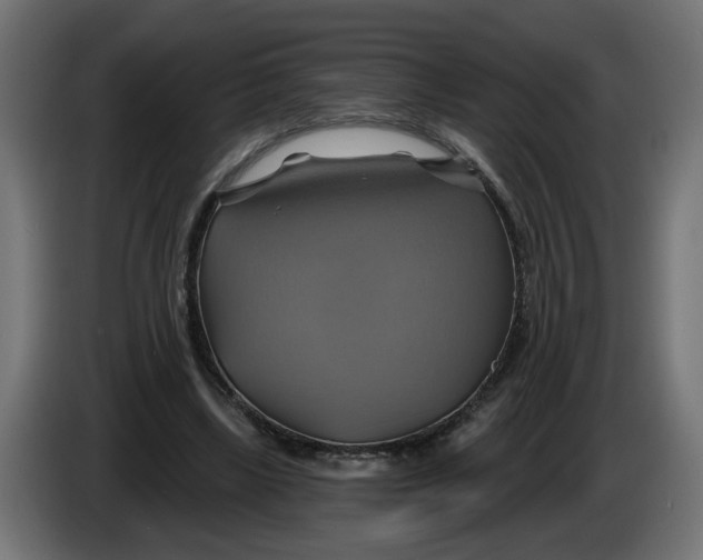 X0000086020443200704131853