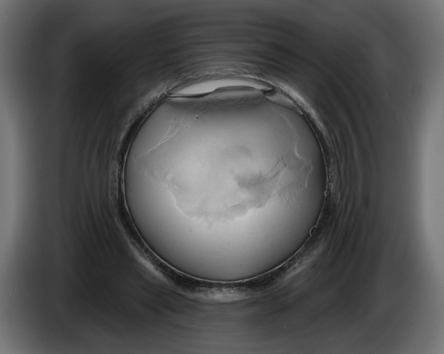 X0000086020445200704131853