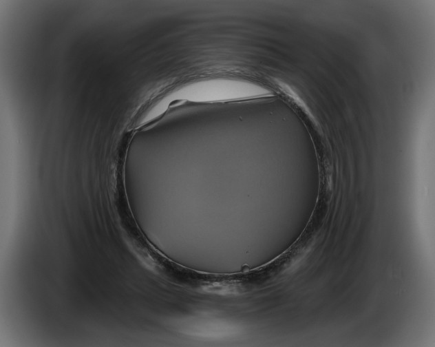X0000086020447200704131853