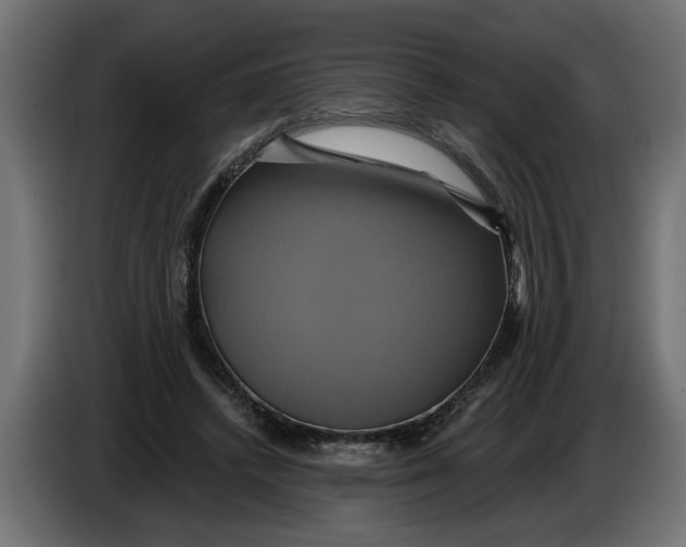 X0000086020448200704131853