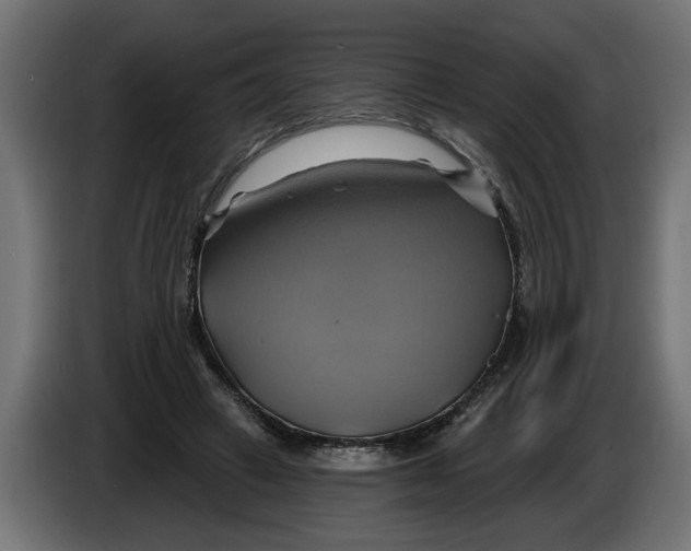 X0000086020449200704131853