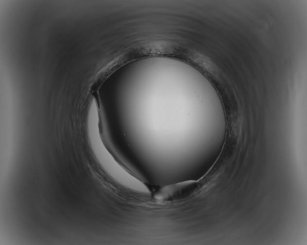 X0000086020450200704131853