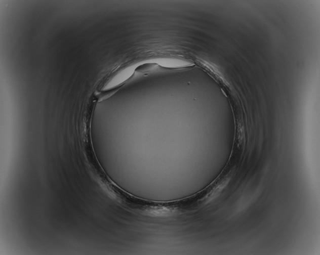 X0000086020453200704131853