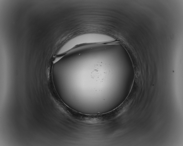 X0000086020454200704131853