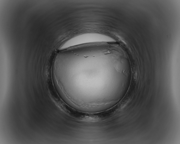 X0000086020455200704131853
