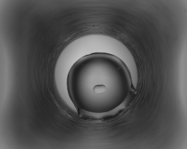 X0000086020456200704131853