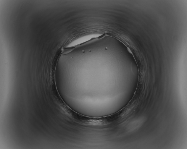 X0000086020457200704131853
