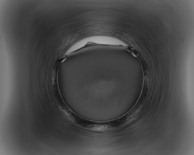X0000086020458200704131853
