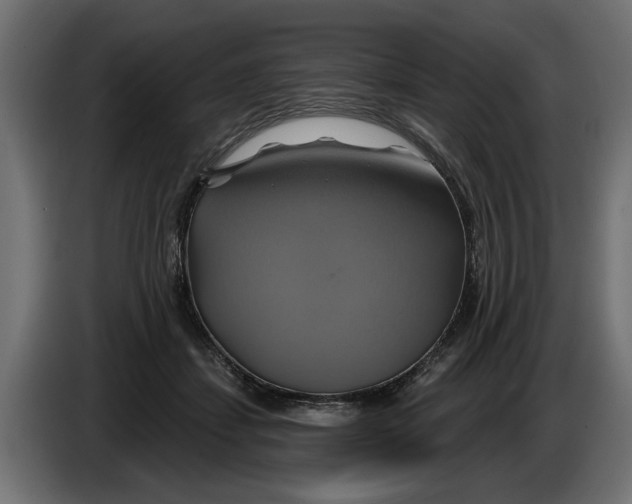 X0000086020459200704131853