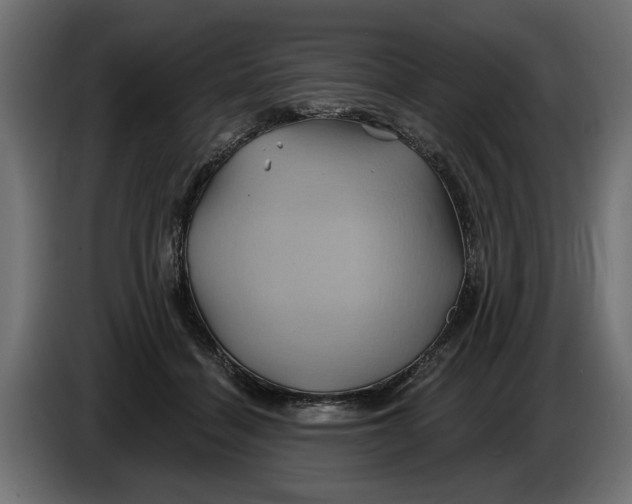 X0000086020460200704131854