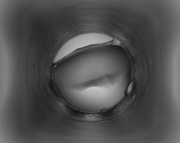 X0000086020461200704131854