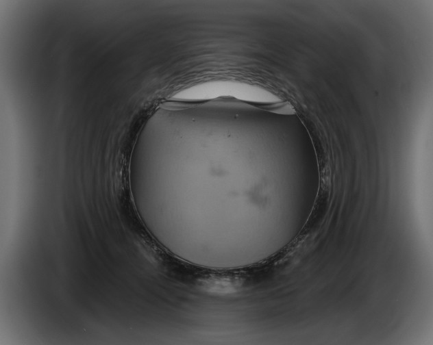 X0000086020464200704131854