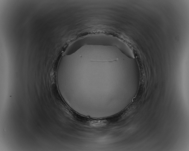 X0000086020465200704131854