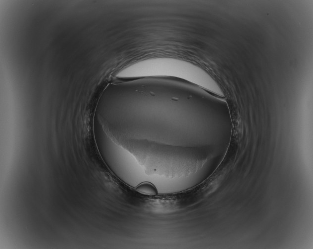 X0000086020466200704131854