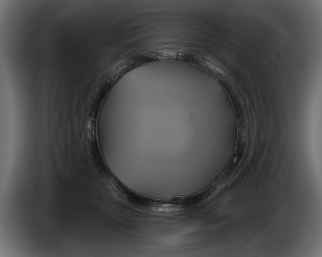 X0000086020467200704131854