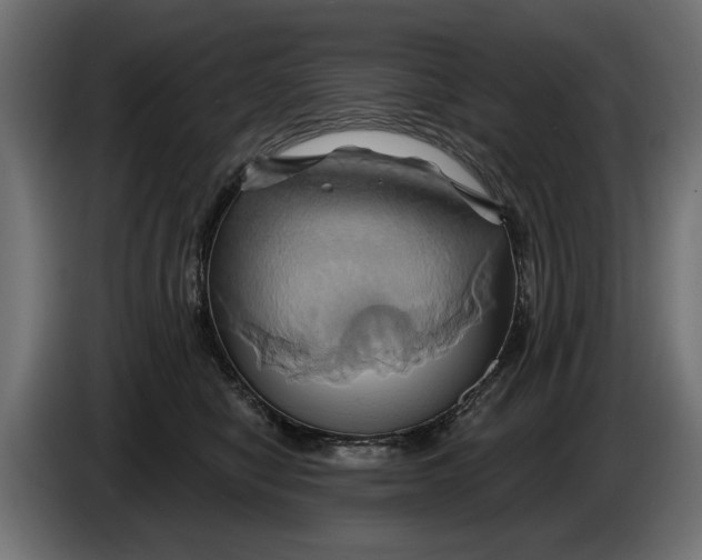 X0000086020470200704131854