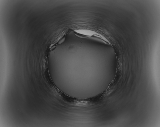 X0000086020471200704131854