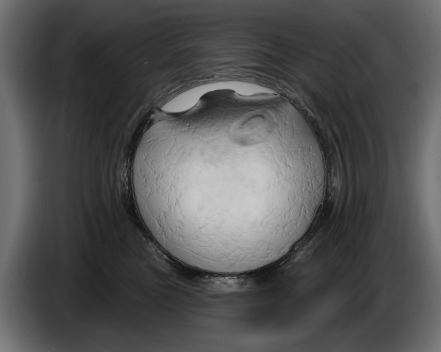 X0000086020473200704131854