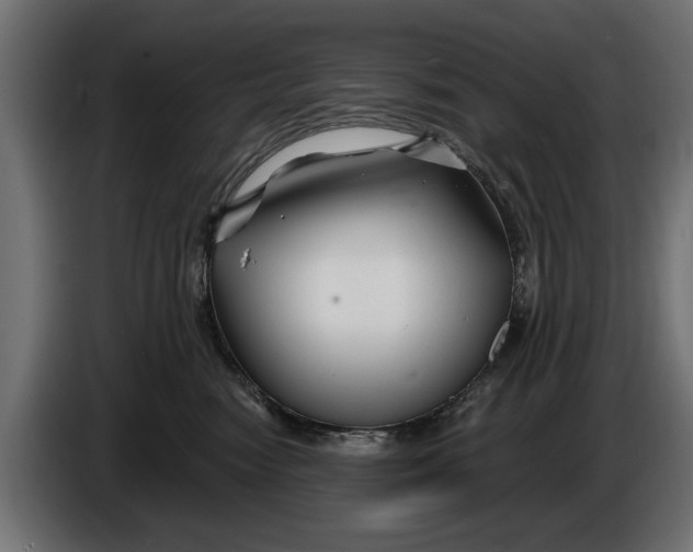 X0000086020474200704131854