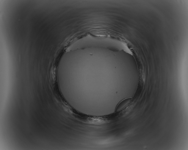 X0000086020475200704131854