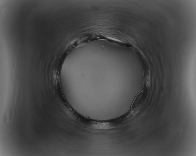 X0000086020476200704131854