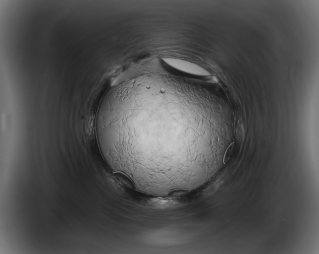 X0000086020477200704131854