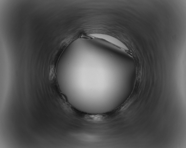 X0000086020478200704131854