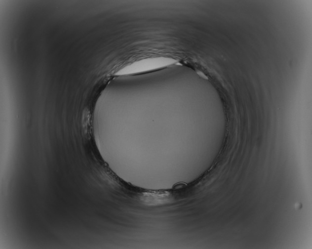X0000086020480200704131854