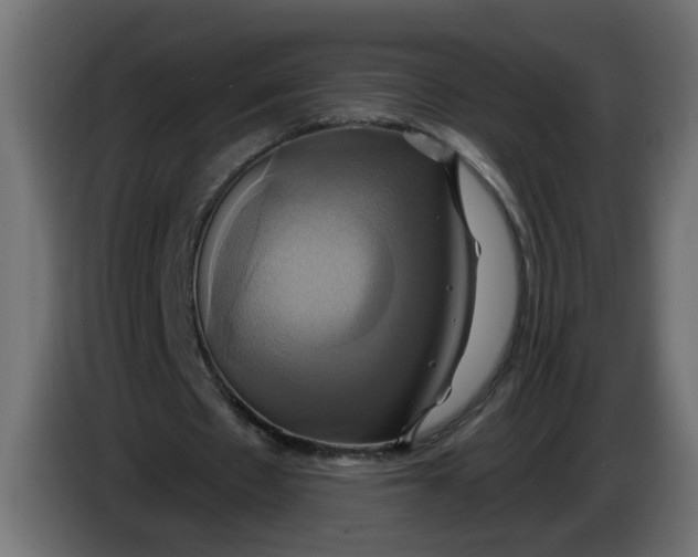 X0000086020481200704131853