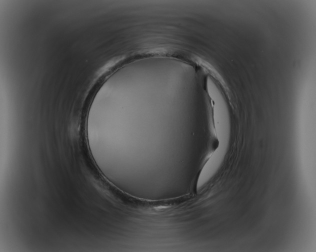 X0000086020483200704131853