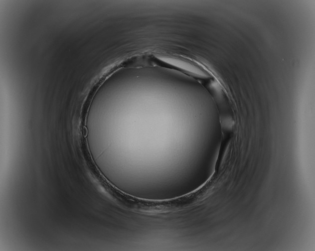 X0000086020485200704131853