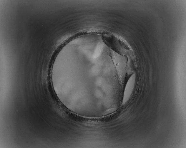 X0000086020487200704131853