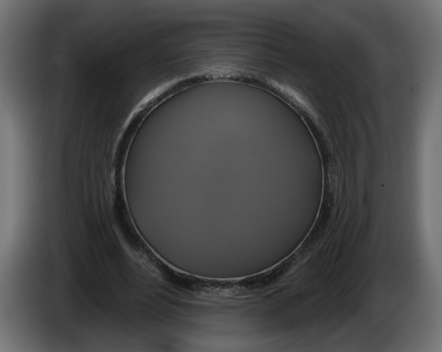 X0000086020488200704131853