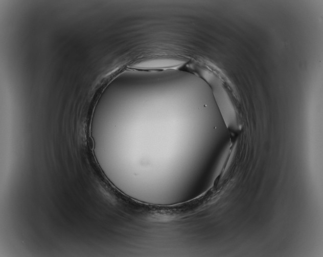 X0000086020489200704131853