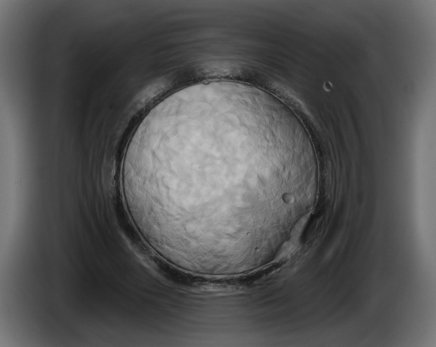 X0000086020490200704131853