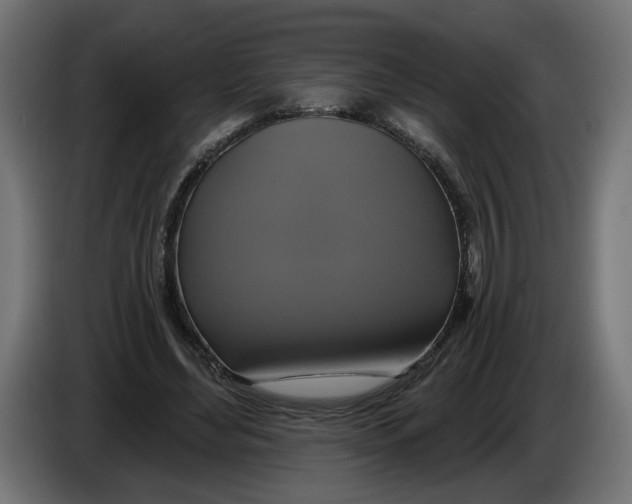 X0000086020492200704131853