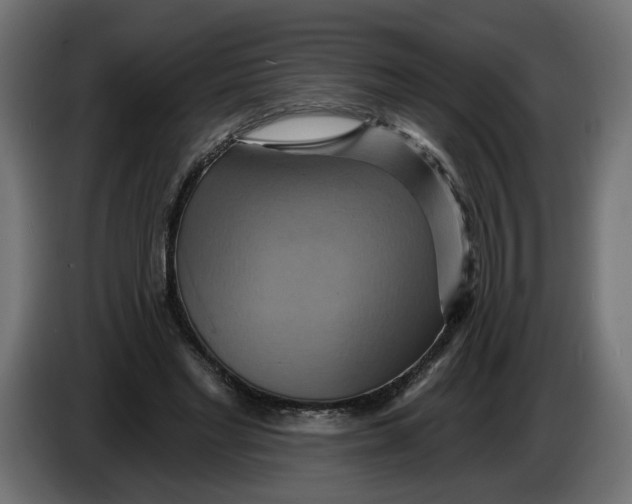 X0000086020493200704131853
