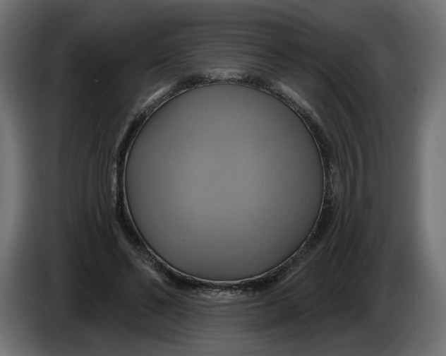 X0000086020494200704131853