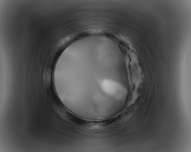 X0000086020495200704131853