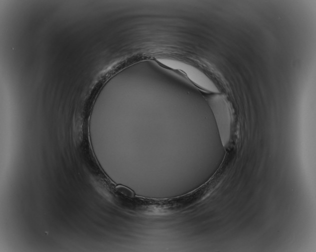X0000086020496200704131853